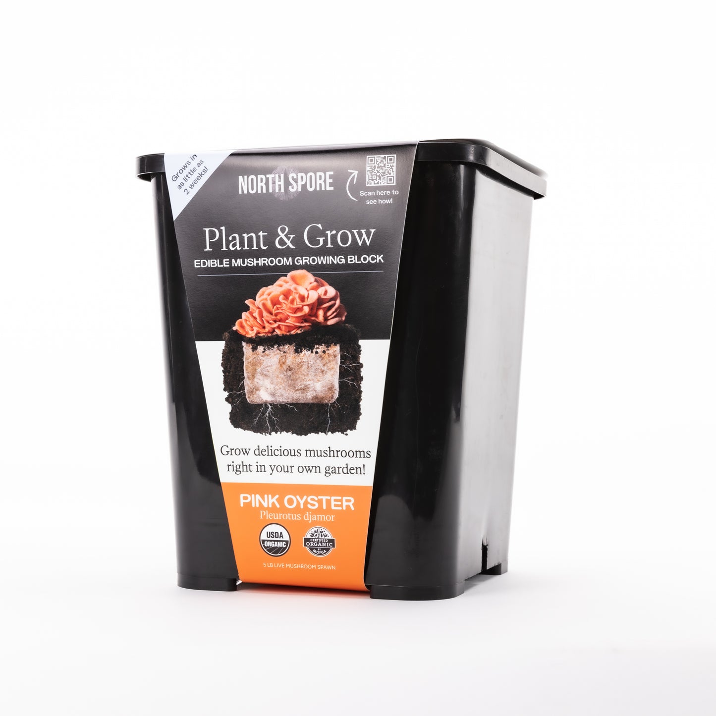North Spore Organic Plant & Grow Pink Oyster Mushroom Block