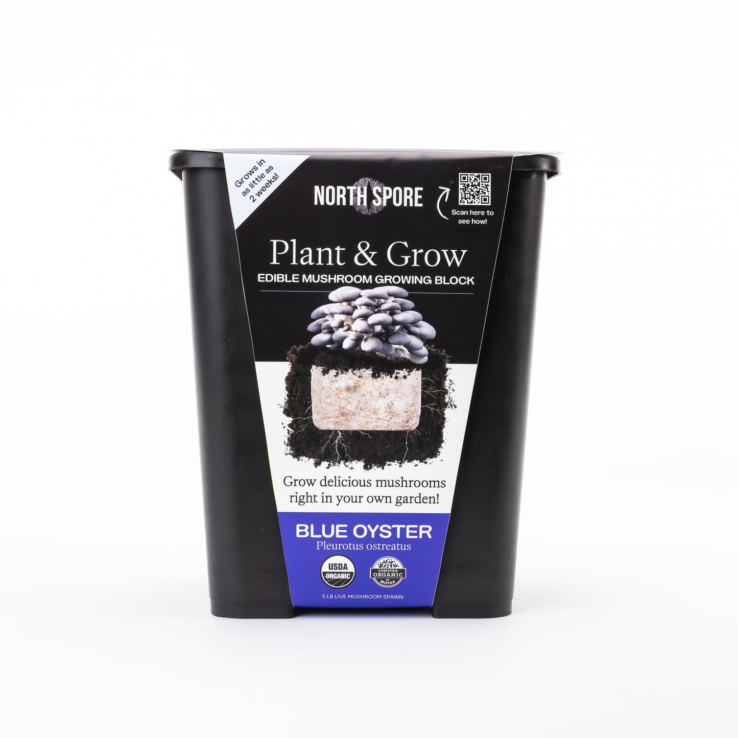 North Spore Organic Plant & Grow Blue Oyster Mushroom Block