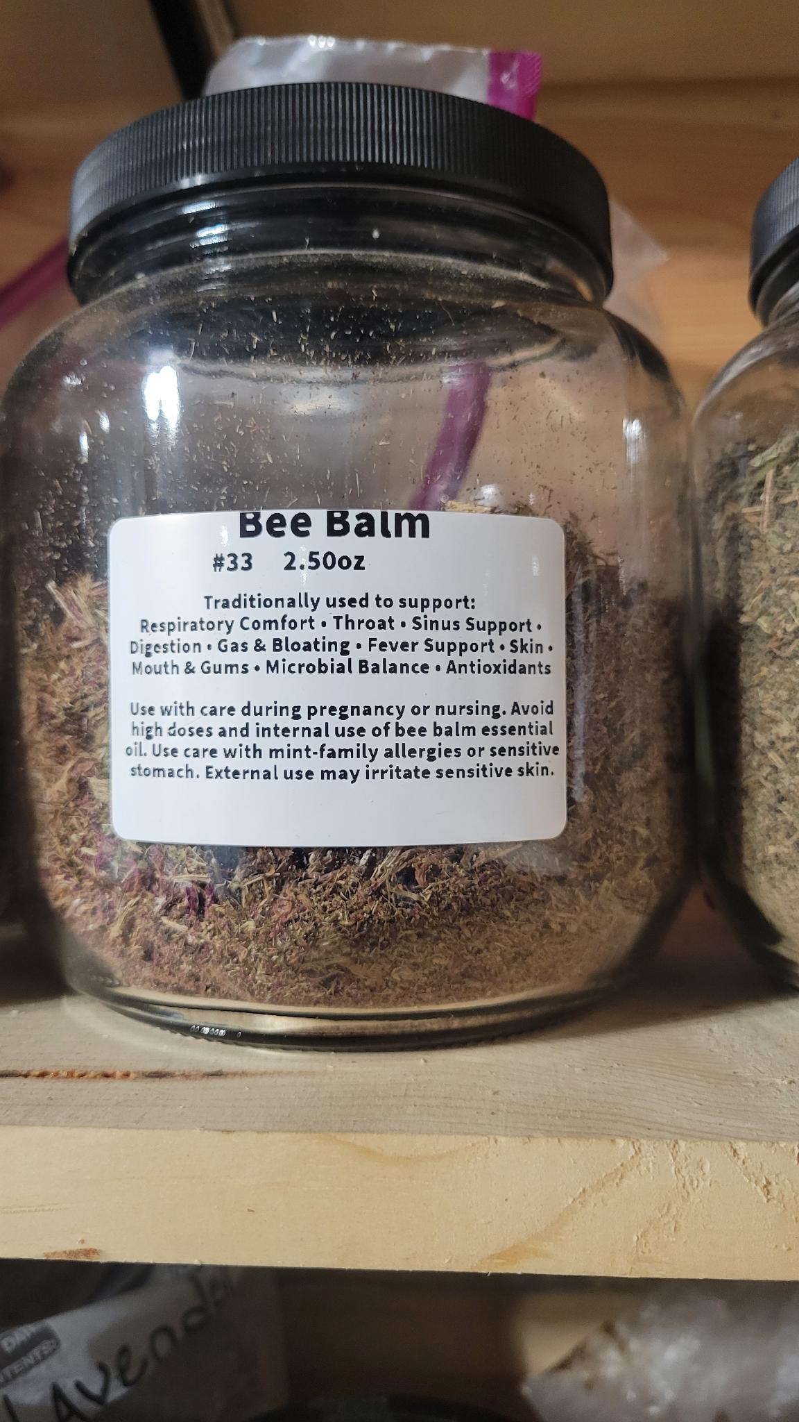 Bee Balm Flower