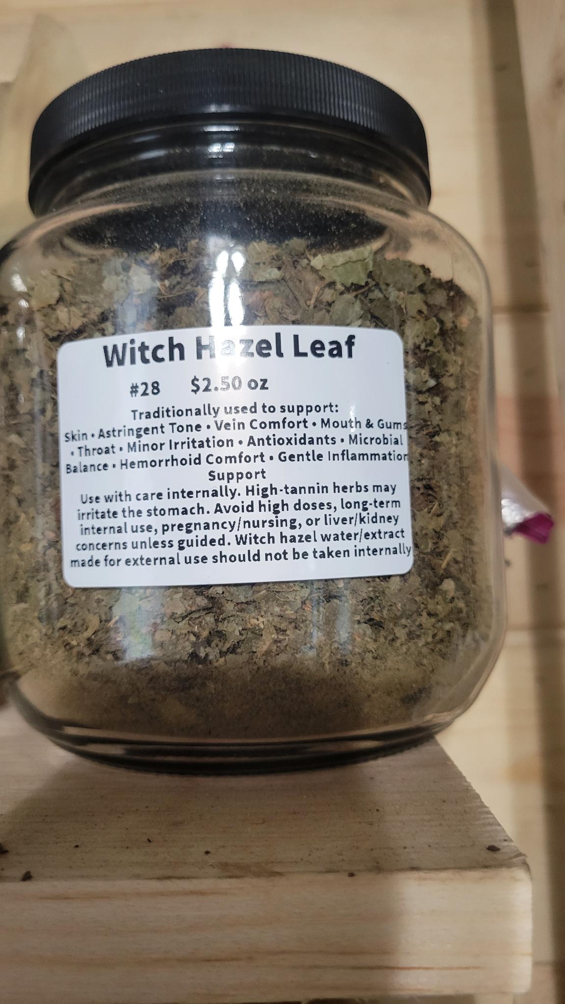 Witch Hazel Leaf