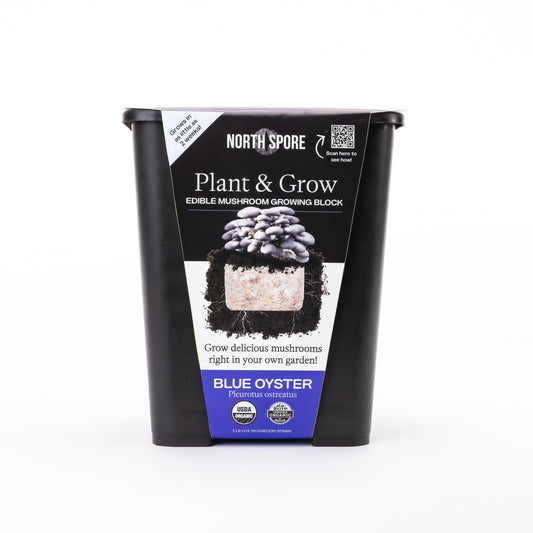 North Spore Organic Plant & Grow Blue Oyster Mushroom Block