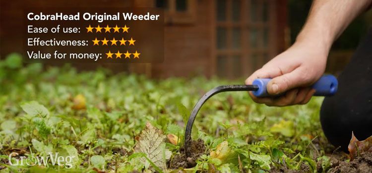 The Original CobraHead (Weeder & Cultivator)