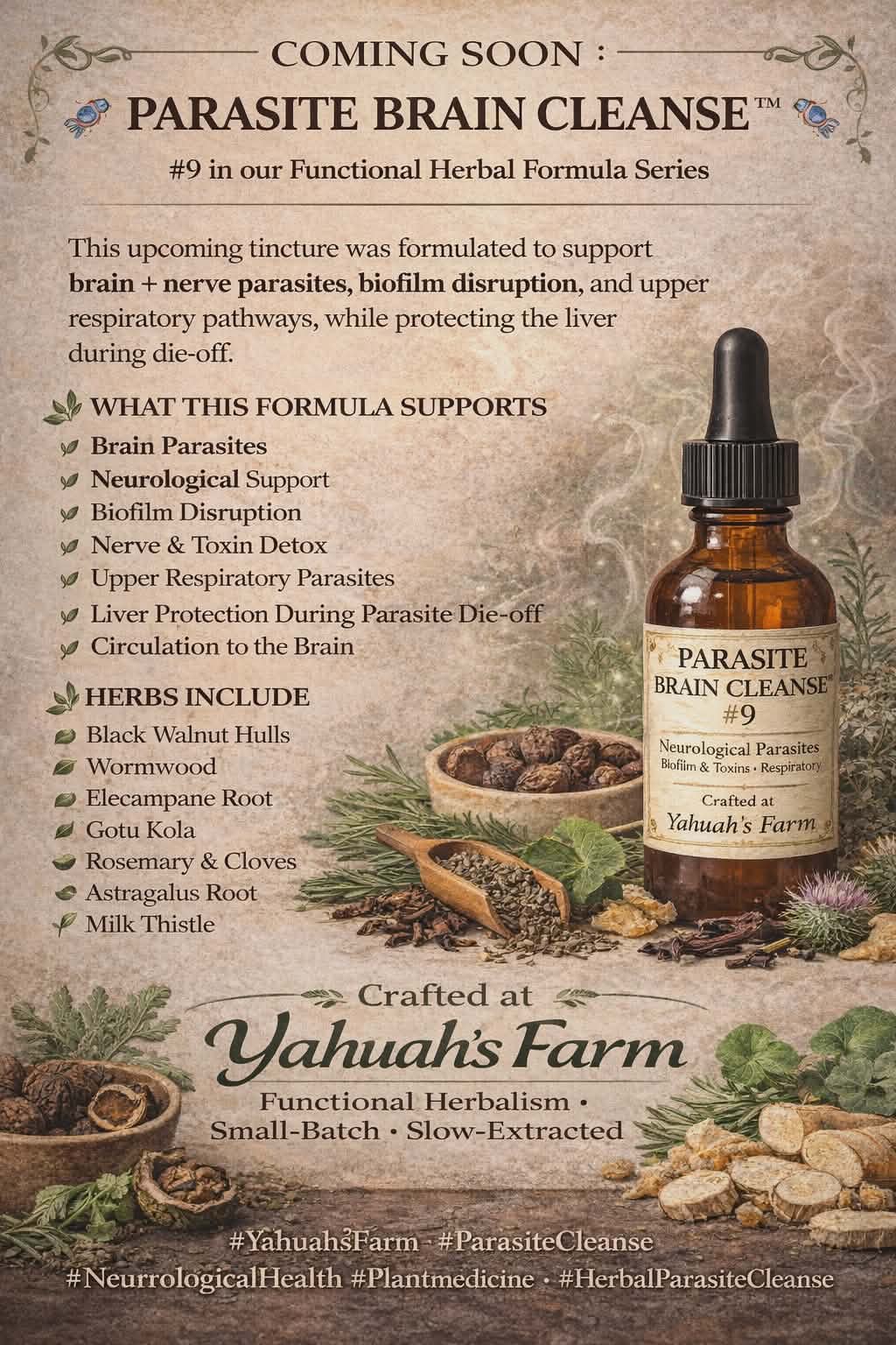 PARASITE BRAIN CLEANSE