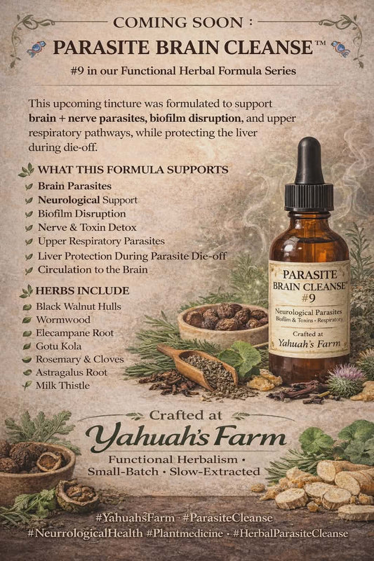 PARASITE BRAIN CLEANSE