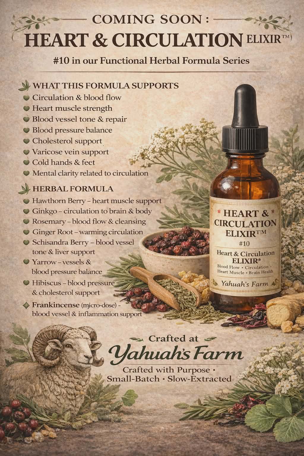 HEART & CIRCULATION ELIXIR