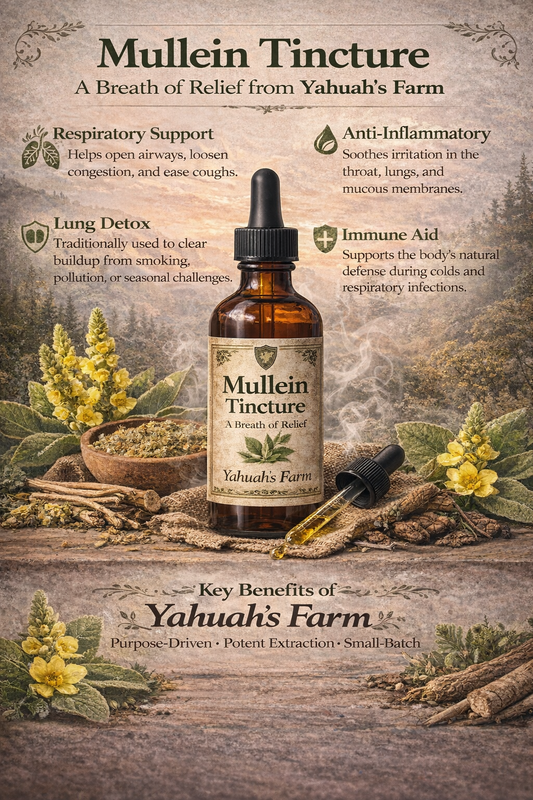 MULLEIN TINCTURE