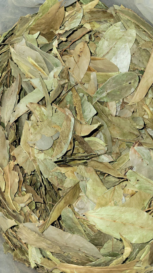 Soursop Leaf