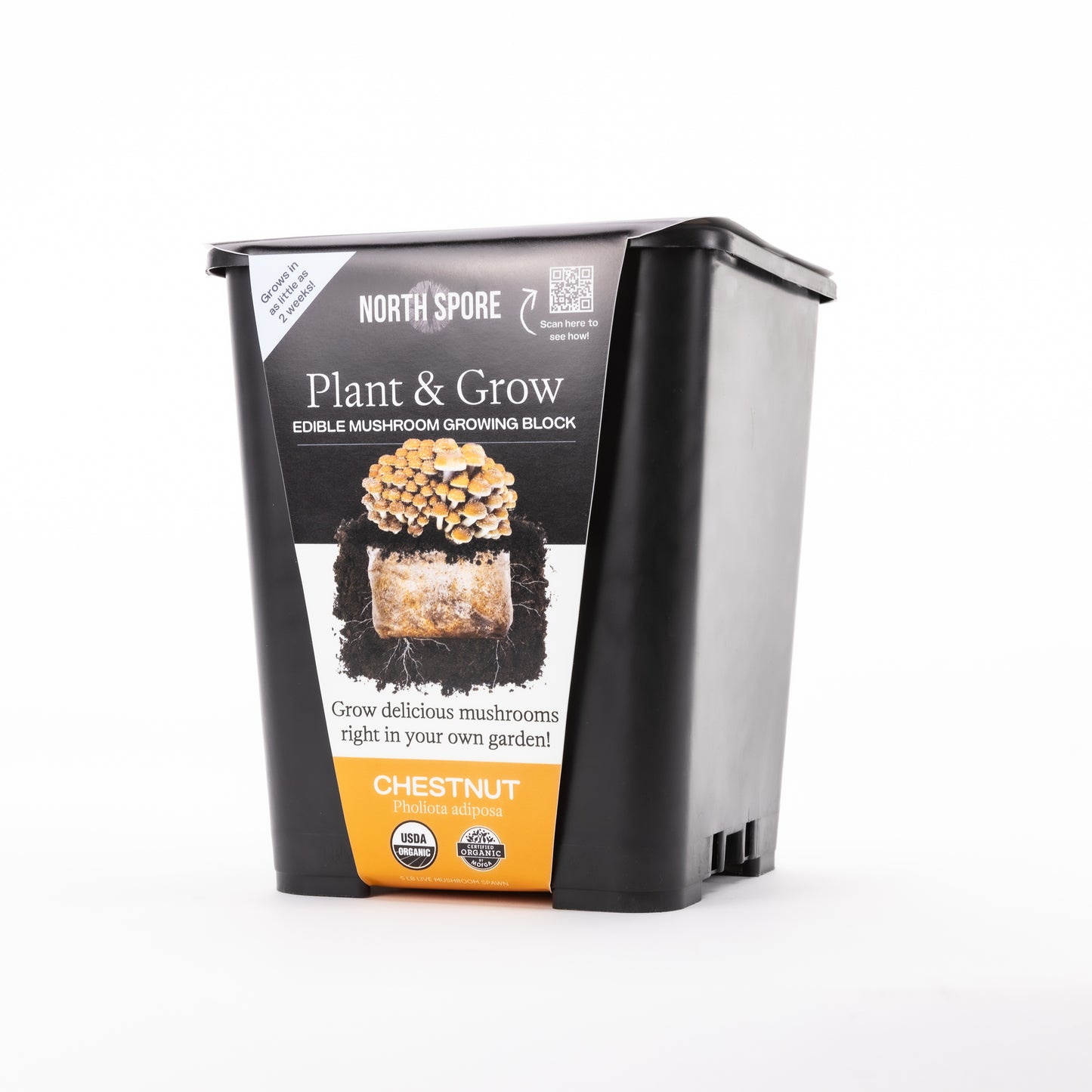 North Spore Organic Plant & Grow Chestnut Mushroom Block