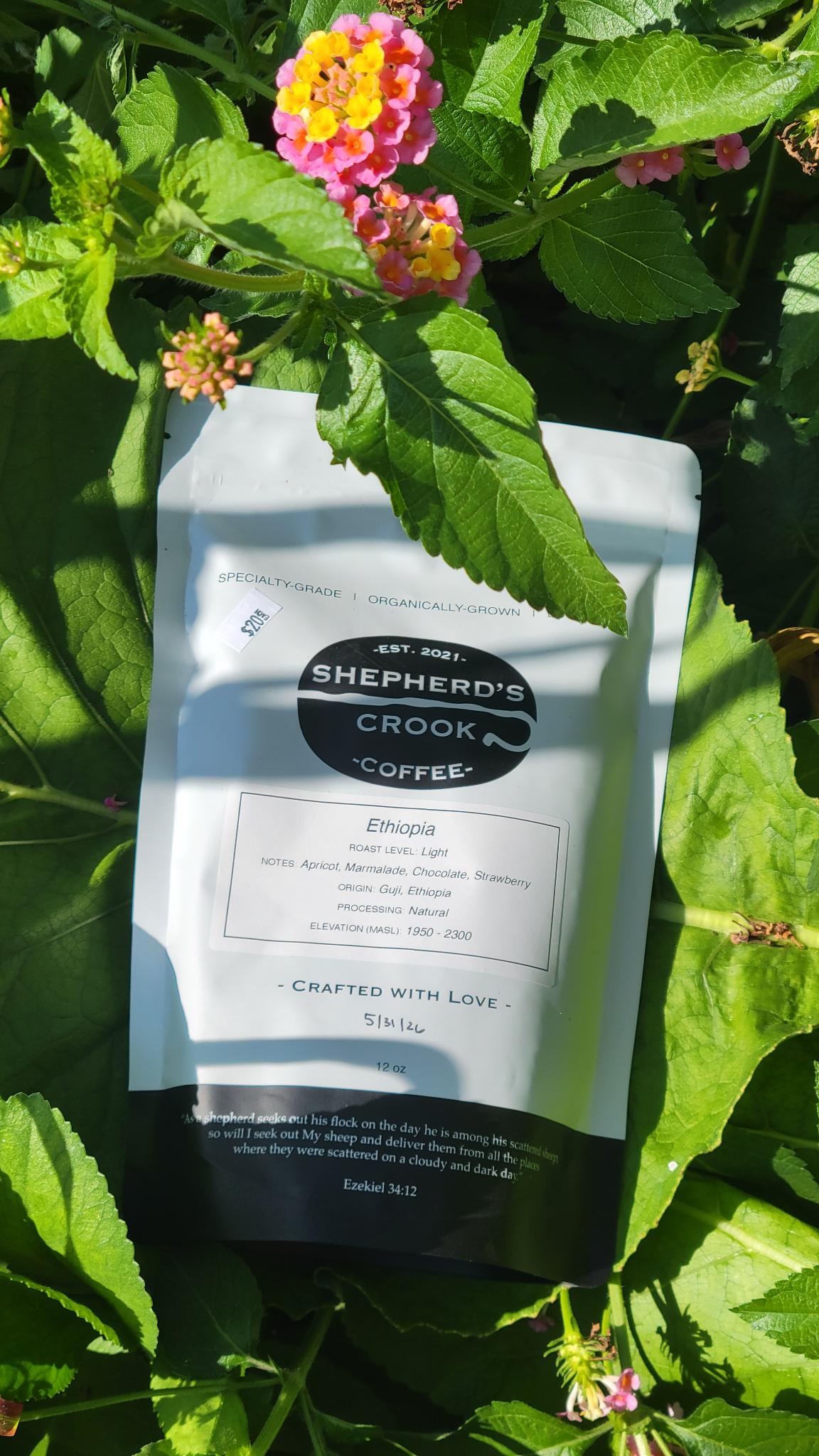 Ethiopia Guji Light Roast
