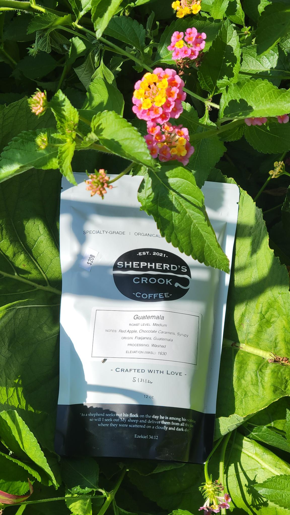 Guatemala Medium Roast