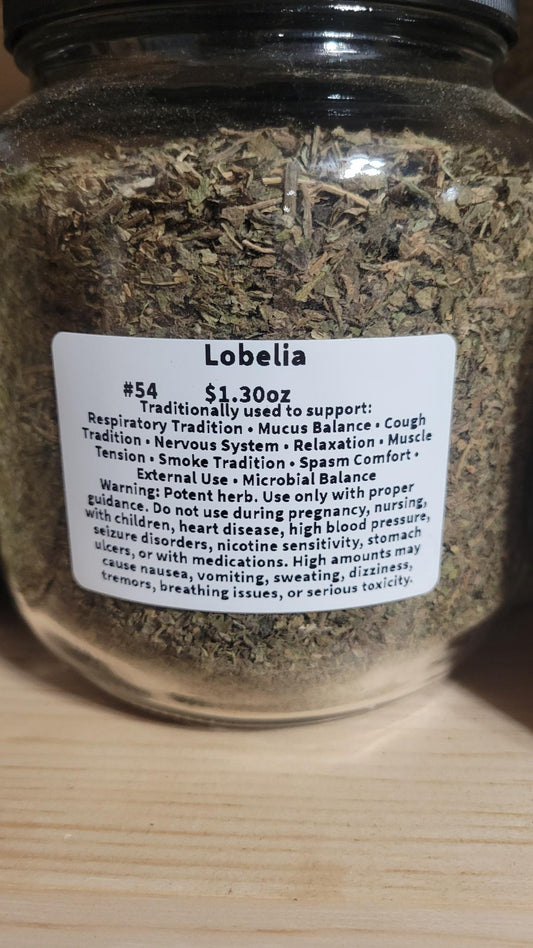 Lobelia