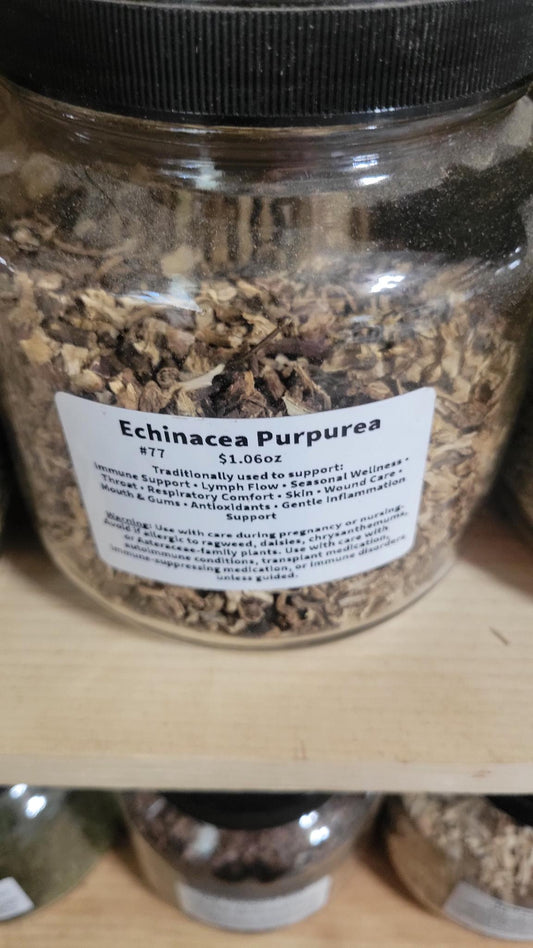 Echinacea Purpurea Root