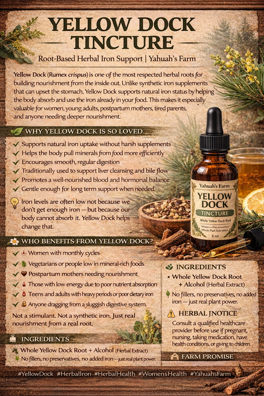 YELLOW DOCK TINCTURE